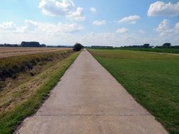 wide road in the meadow