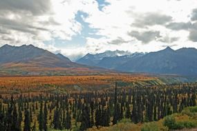 mountains of Alaska wilderness