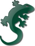 painted green lizard