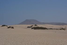 mountain in the desert of fuerteventura