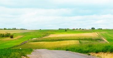 beautiful summer rural landscape