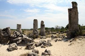 forest stone, bulgaria, Pobiti Kamani