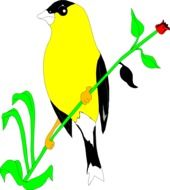graphic image of a bright yellow bird