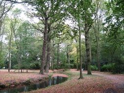 path and channel beneath trees in beautiful park