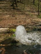 spring water freshness scene