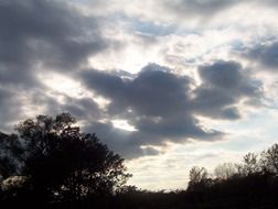 dark clouds over the trees