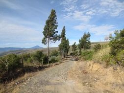 gravel field path