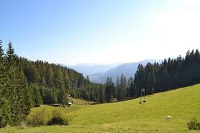 green pasture in scenic alpine mountains