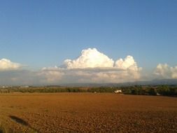 agricultural field in the evening