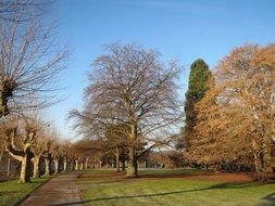 Park in Saarbrücken