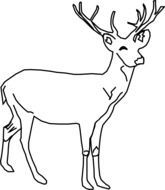 standing deer drawing