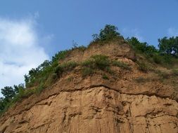 landscape of the cliff with the trees