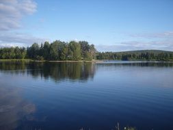 forest lake in Finland on a sunny day