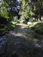 stormy creek in a green park