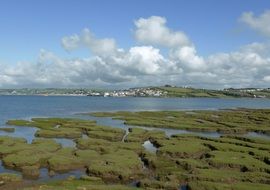 andscape of riverbank at high tide in England