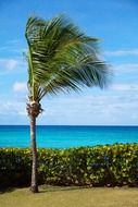 beautiful beach coast