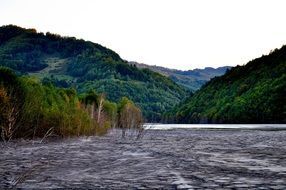 landscape of wonderful swamp lake