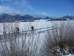 two man cleaning out snow on frozen lake