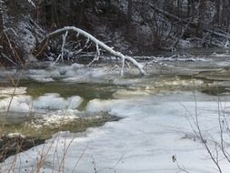 Beautiful ice covered creek