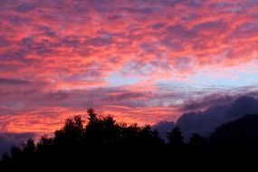 red clouds in the sky during sunset over the trees