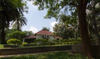 beautiful nature near the house