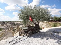 a cart on a rock in turkey
