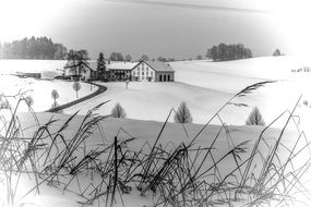 mountains snowy landscape drawing