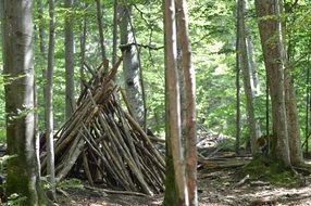 Wooden pyramid in a forest