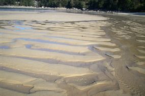 tracks on sand beach, new zealand