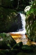 clammy tropical landscape