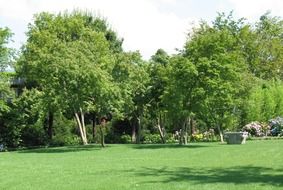 trees in the garden of Aeneas