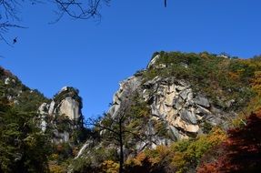 Beautiful Shosenkyo rocks with colorful plants in Japan