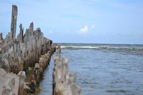 wooden breakwater