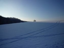 traces on the snow in the evening