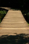 Boarwalk in the forest