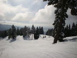 winter sports trail