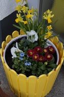 potted flowers decorated for Easter