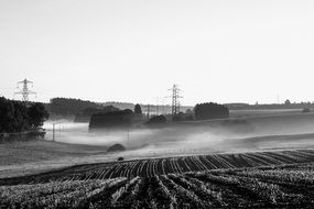 morning mist over agricultural field in black-white background