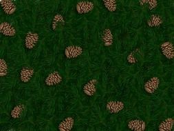 pine cones on the green grass