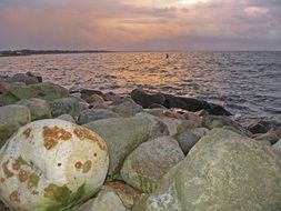 stony shore of the North Sea in Denmark