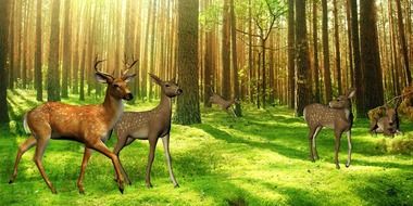 deer in the forest as digital art