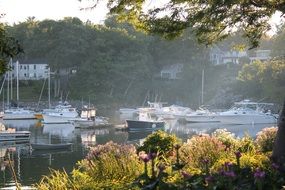moored boats on the sea coast