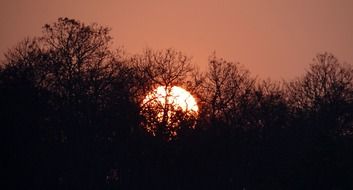 bright round sun at sunset in India