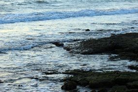 stone coast at dusk