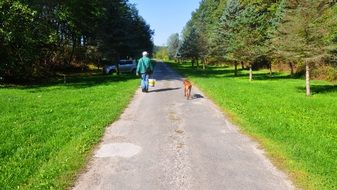 walk with the dog in the park