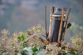 rustic torch closeup in plants