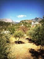 Mediterranean nature on the island of Peloponnese