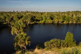 tropical pine island