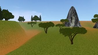 field with trees and rocks