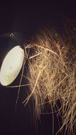 lamp among the straw in a dark background